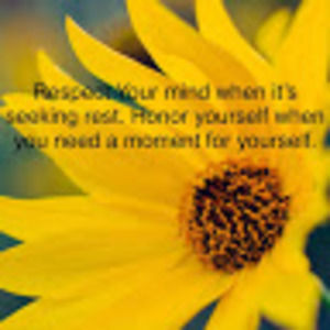 Meet your Posher, Daisy